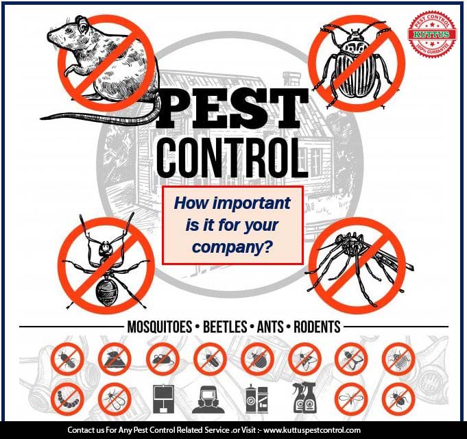 Importance Of Pest Prevention in Commercial Building