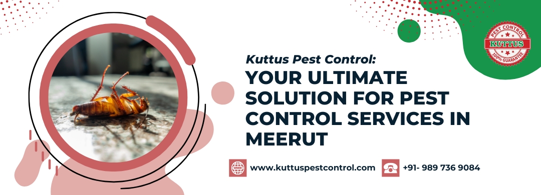 Pest Control Services in Meerut