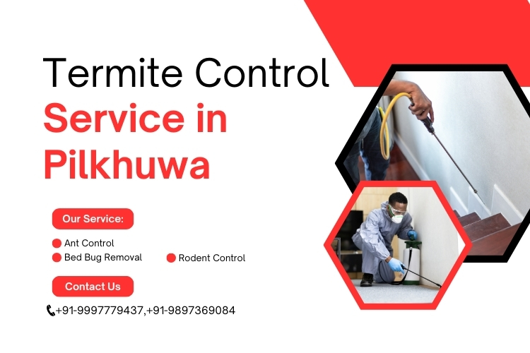 Termite Control Service in Pilkhuwa