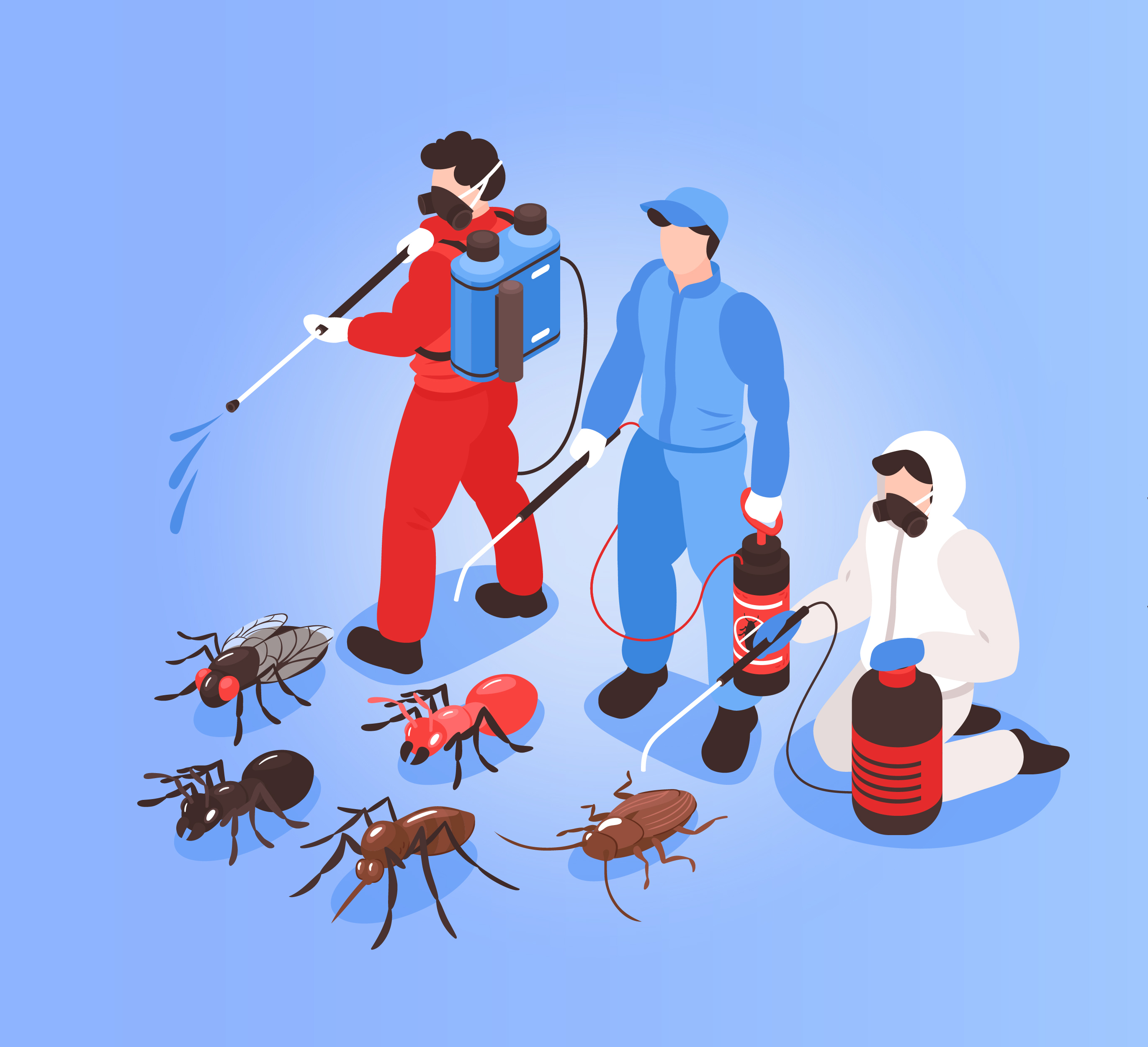 Commercial Pest Control Service in Meerut