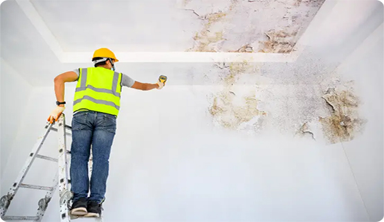 Wall Waterproofing Service in Meerut