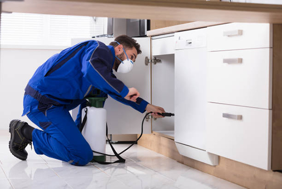 Residential Pest Control Service in Hapur