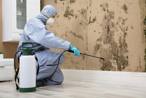 Residential Pest Control Service in Roorkee