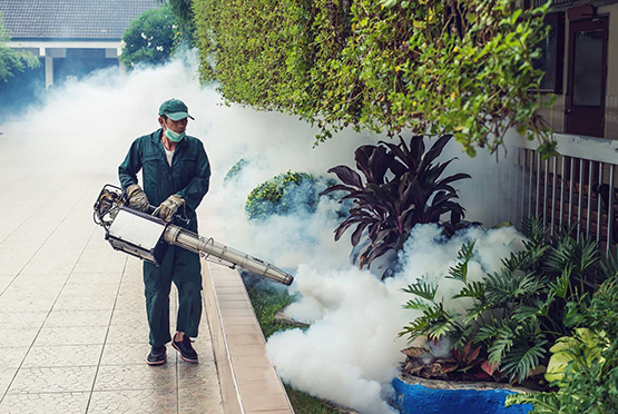 Residential Pest Control Service in Baghpat