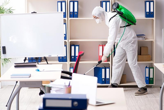Residential Pest Control Service in Mawana